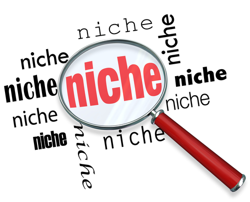 A magnifying glass hovering over several instances of the word niche, symbolizing targeted marketing of small demographic groups